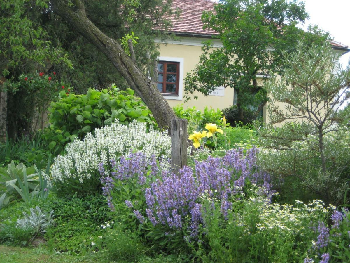 Mala Kmetija Bed & Breakfast Slovenske Konjice Exterior foto